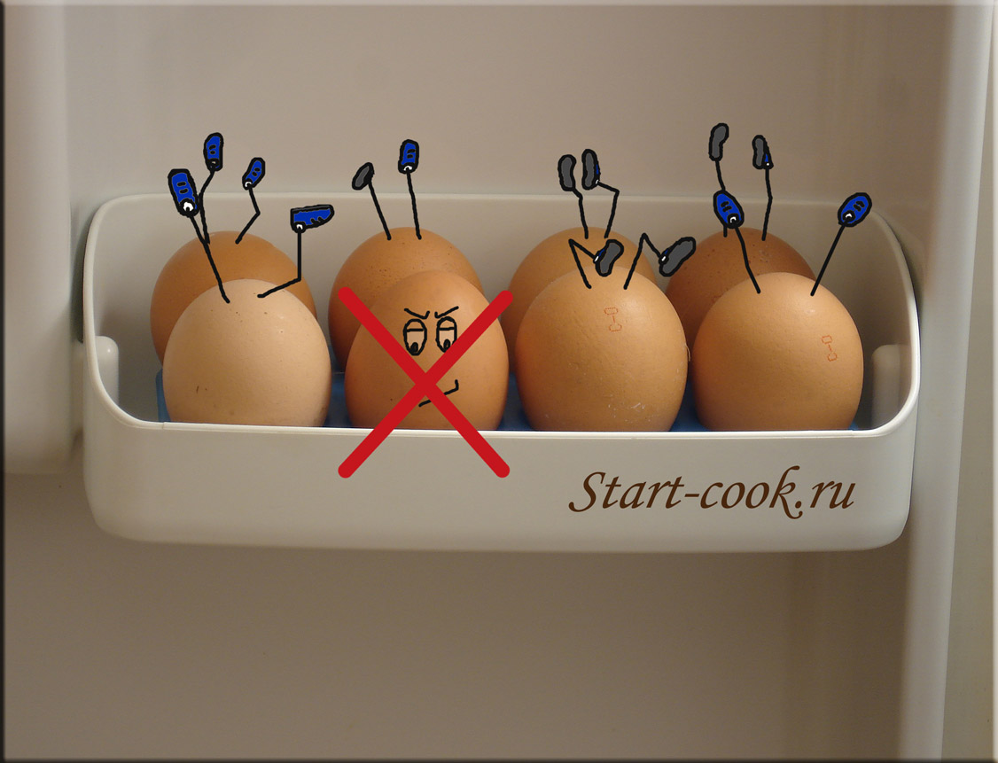 Глупый конец. Хранение яиц в холодильнике. Яйца в холодильнике. Хранение куриных яиц. Как хранить яйца.
