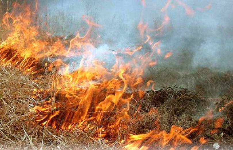 Սյունիքի մարզի Շաղատ գյուղում մոտ 700 հակ անասնակեր է այրվել