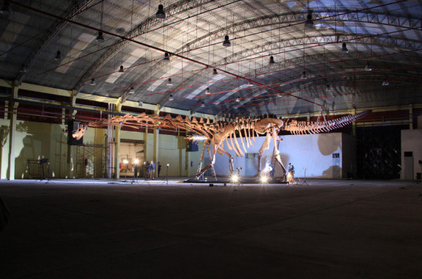 Գիտնականներն Արգենտինայում հայտնաբերել են առաջին հսկա դինոզավրի մնացորդները
