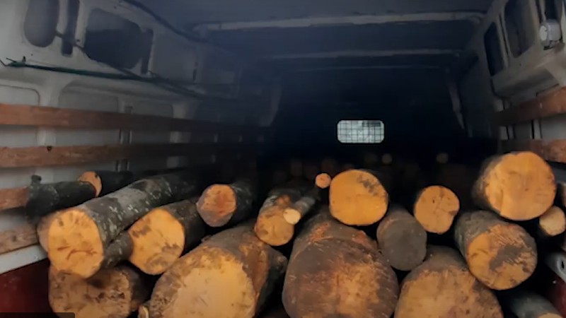 Լոռու մարզում ստուգվել է փայտանյութով բեռնված 20-ից ավելի տրանսպորտային միջոց (տեսանյութ)