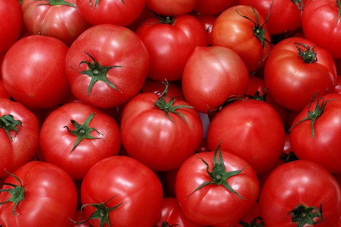 В России уничтожена 21 тонна армянских томатов