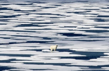 Արկտիկայի սառույցի ծավալները նվազում են տագնապալի արագությամբ