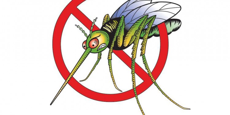 Մոծակներից ազատվելու 8 պարզ տարբերակ