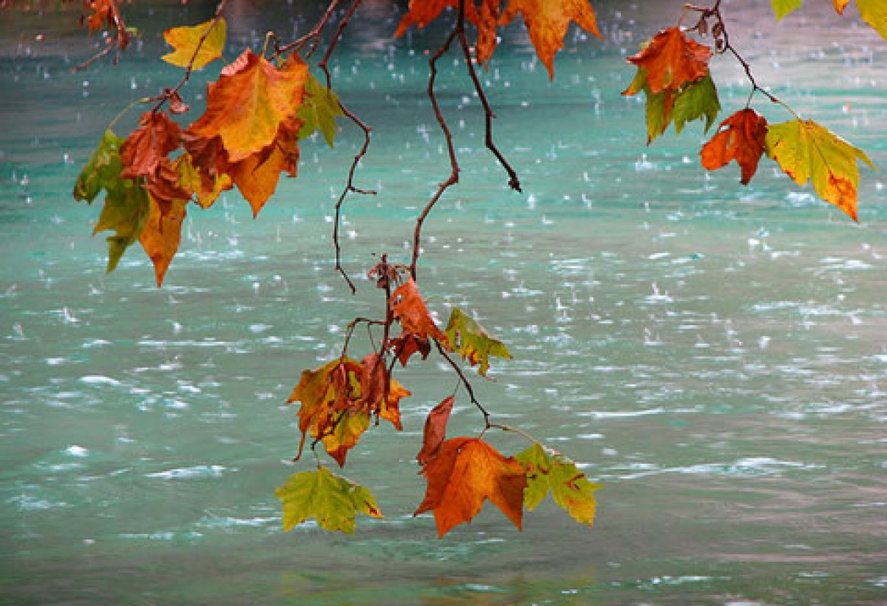 Осенний дождик