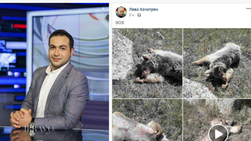 ԱԺ նախկին պատգամավոր Լյովա Խաչատրյանն իր ֆեյսբուքյան էջում հրապարակել էր Հայաստանի «Կարմիր գրքում» գրանցված, գորշ արջի սպանված ձագի վերաբերյալ տեսանյութ. խոսնակ