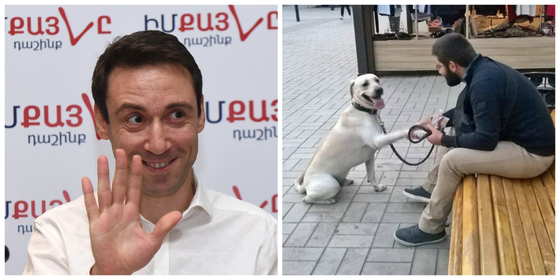 Քաղաքապետը կատակու՞մ է. իրավապաշտպանը՝ Երևանում տնային կենդանիների համար տուրք սահմանելու որոշման մասին