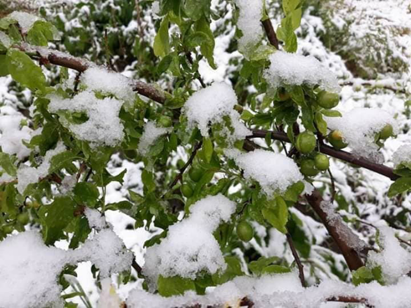 Ձյուն է տեղացել նաև Հայաստանի ամենատաք վայրում․ լուսանկարներ