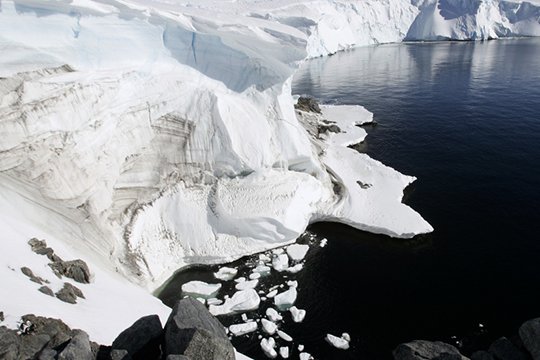 Անտարկտիդայից հսկայական այսբերգ է անջատվել ու սկսել է «ազատ լողալ»
