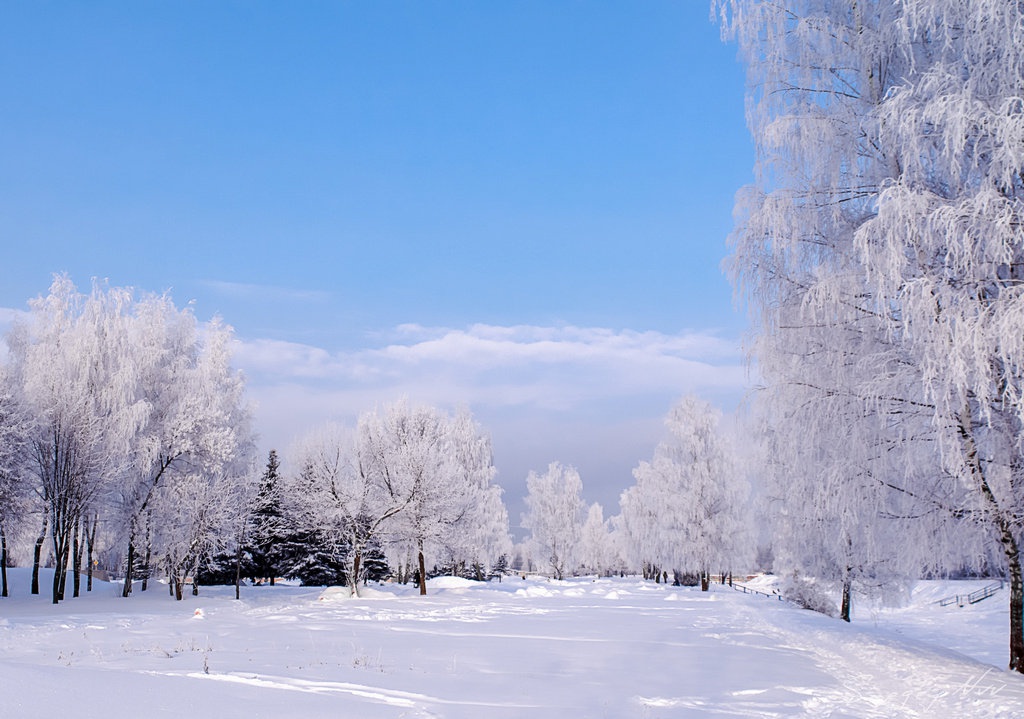 Ищу зима. Губкинский зима. Зимние пейзажи в городе Уфе. Губкинские пейзажи. Город Губкинский зимний пейзаж.