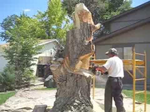 Իսկական արվեստի գործ՝ տան առջև չորացած ծառի բնից (տեսանյութ)
