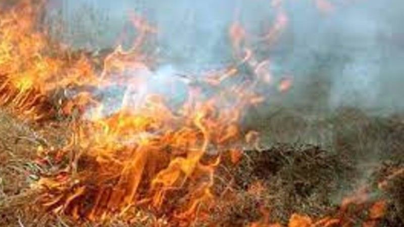 Արփունք գյուղում այրվել է մոտ 400 հակ անասնակեր