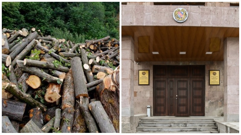  Պուշկինոյի երկու բնակիչ Ստեփանավանի անտառպետության պահաբաժիններում ապօրինի հատել են տարբեր տեսակի ծառեր