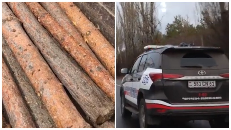 Կոտայքում առանց փաստաթղթի փայտանյութով բեռնատար է հայտնաբերվել (տեսանյութ)
