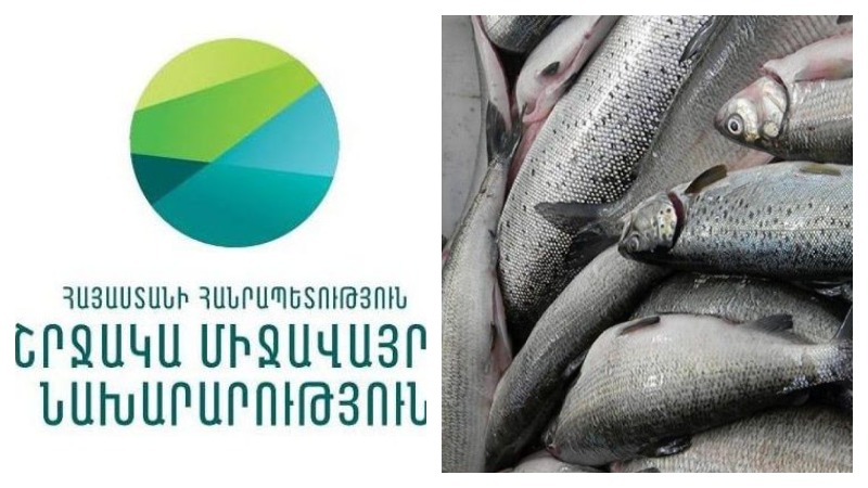 Մեկնարկում է Սևանա լճում արդյունագործական ձկնորսության 2-րդ փուլի երկարաձգված ժամկետում որս իրականացնելու հայտերի ընդունումը