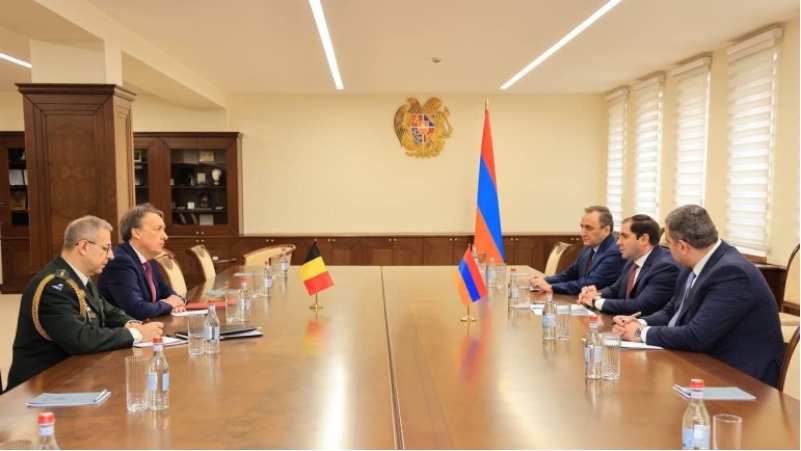 Պապիկյանը Բելգիայի դեսպանի հետ քննարկել է պաշտպանության բնագավառում համագործակցությանն առնչվող հարցեր