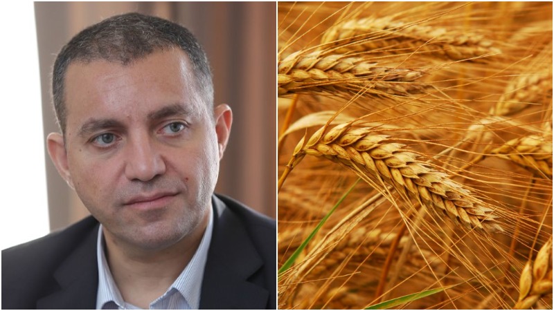Հարցի լուծումն ընթացքի մեջ է. Քերոբյանը՝ ՌԴ-ից ՀՀ ցորենի արտահանման մասին