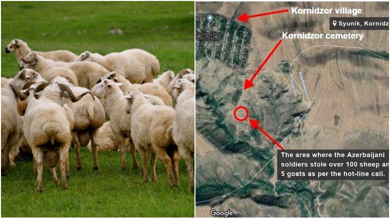 Ադրբեջանցիները հափշտակել են Կոռնիձորի բնակչի պատկանող 107 ոչխար և 5 այծ