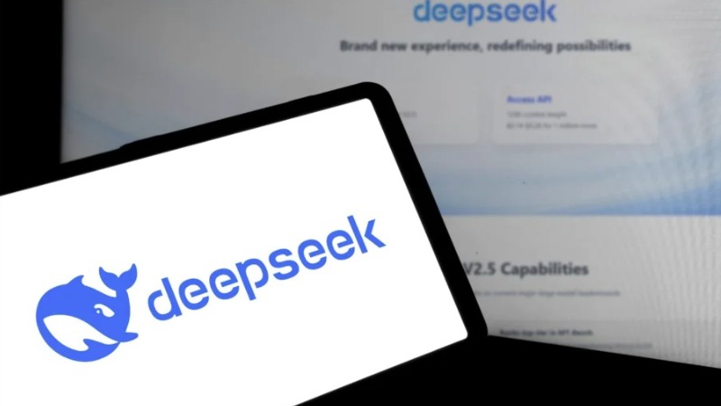 Իտալիան արգելափակել է չինական DeepSeek-ը