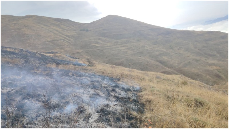 Մեղրիում մոտ 41 հա խոտածածկույթ է այրվել