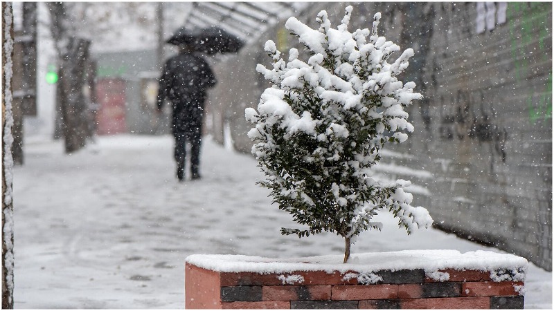 Սպասվում է ձյուն