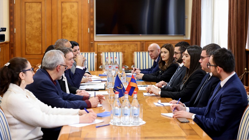 Եվրոպայի խորհրդի հետ համագործակցությունն ընդգրկում է ՆԳՆ մանդատի շրջանակներում գրեթե բոլոր ուղղությունները