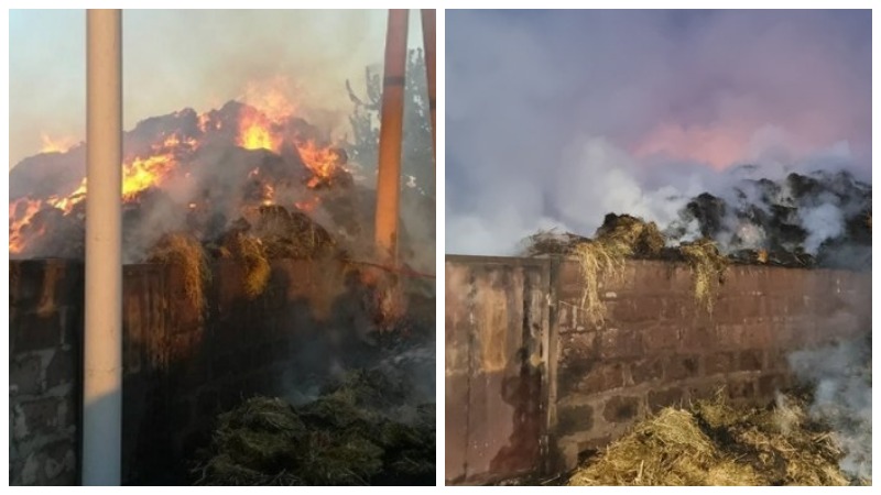 Գայ գյուղում մոտ 3000 հակ անասնակեր է այրվել