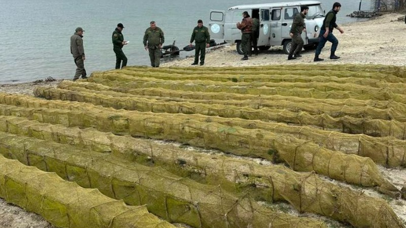Չկալովկա բնակավայրին հարող ափամերձ հատվածում լճից դուրս է բերվել ապօրինի տեղադրված 184 հատ խեցգետնաորսիչ (լուսանկարներ)