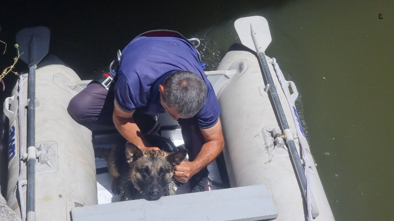 Ջրանցքն ընկած շանն օգնության են հասել փրկարարները (լուսանկարներ)