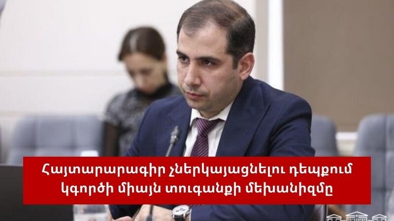 Արդեն 12 հազար քաղաքացի եկամուտների հայտարարագիր է լրացրել. ՊԵԿ նախագահ