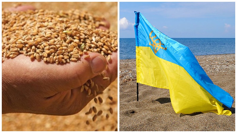 Եգիպտոսը խզել է Ուկրաինայից ցորենի գնման պայմանագրերը
