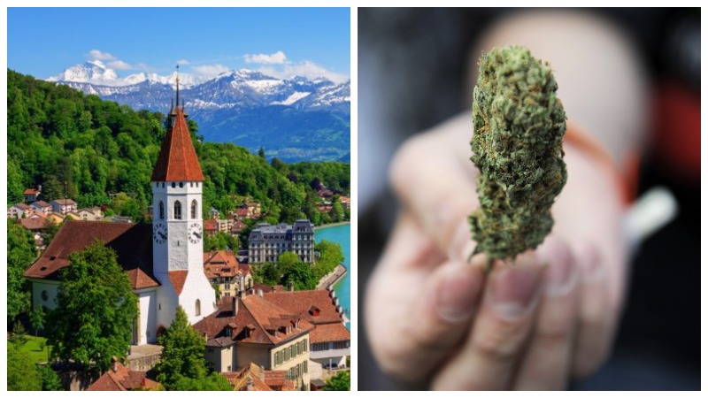 Շվեյցարիայում այսուհետև կարող են կանեփ ձեռք բերել դեղատոմսով