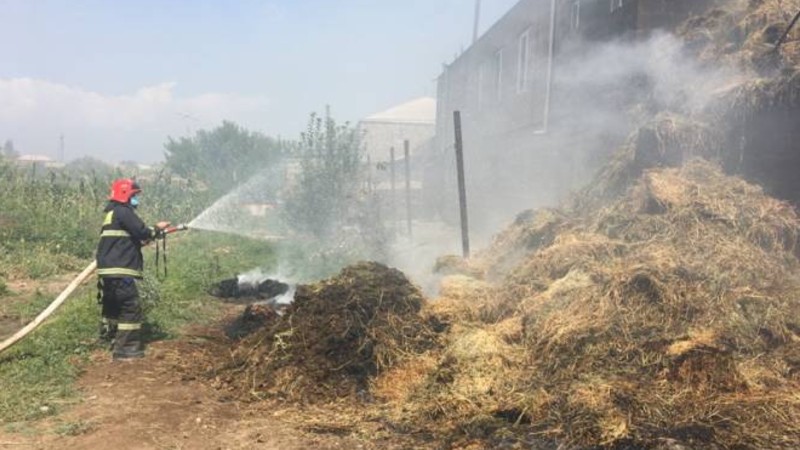 Սիփան գյուղում այրվել է մոտ 1300 հակ անասնակեր. ԱԻն