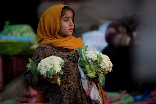 Պակիստանում քաղցրավենիքի թունավորումից մահացել է առնվազն 23 մարդ