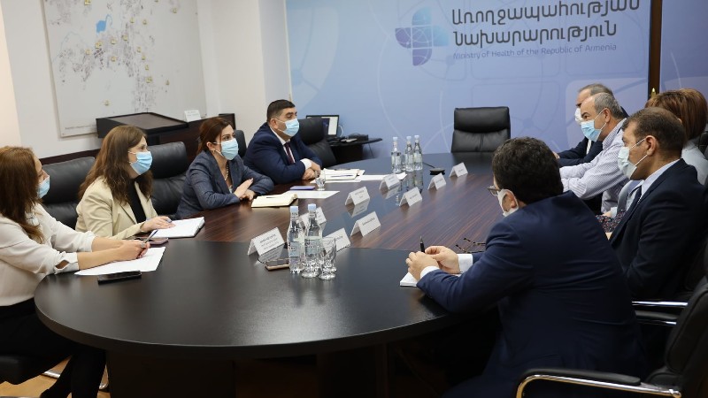 Առողջապահության նախարարն ընդունել է Հայաստանի կաթվածի խորհրդի գործադիր կազմի ներկայացուցիչներին