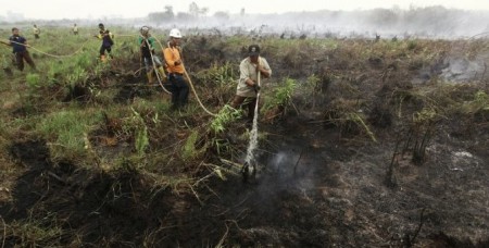 Անտառային հրդեհների ծուխը պատել Է Ինդոնեզիայի տարածքի արդեն 75 տոկոսը