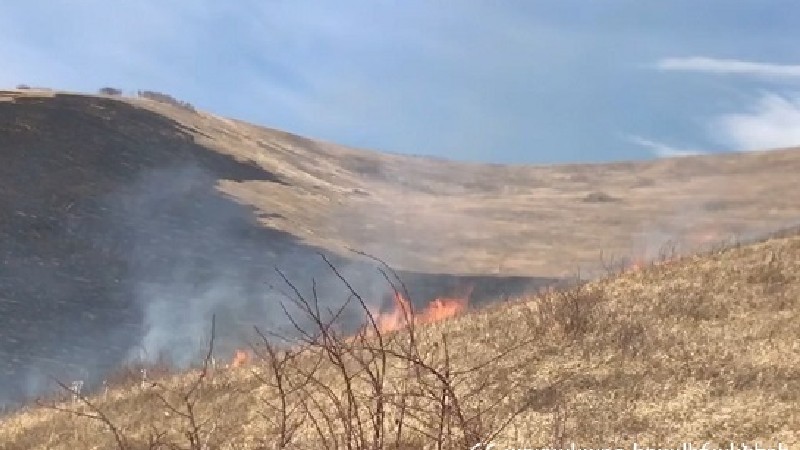 Բազումի լեռնաշղթայի տարածքում այրվել է մոտ 15 հա խոտածածկույթ․ ԱԻՆ