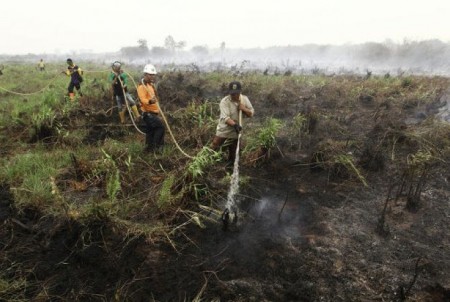 Ինդոնեզիան հազարավոր երեխաների տարհանում Է պատրաստում անտառային հրդեհների պատճառով
