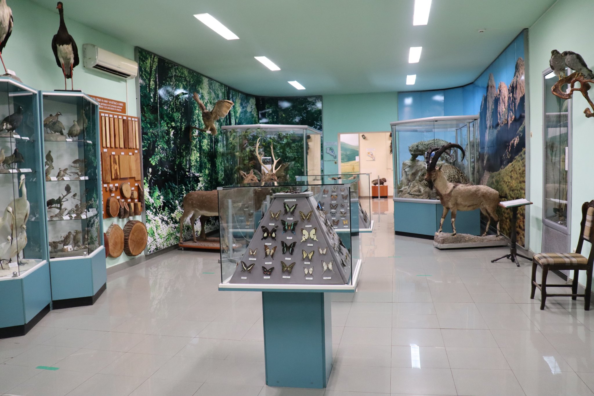Բնության թանգարանը հրավիրում է միասին տոնելու Թանգարանների միջազգային օրը