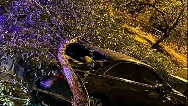 Ծառն ընկել է մեքենայի վրա. օգնության են հասել փրկարարները