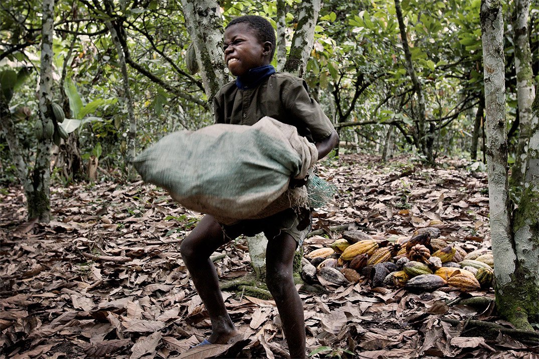 Նիգերիայում «երեխաների ֆաբրիկայից» տղաներին և աղջիկներին փրկել են ստրկությունից և մարմնավաճառությունից
