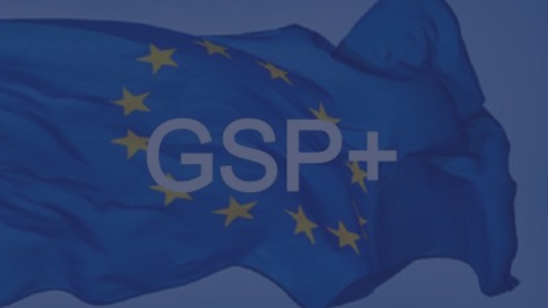 Հունվարի 1-ից Հայաստանը չի օգտվելու ԵՄ «GSP+» արտոնյալ առևտրային ռեժիմից