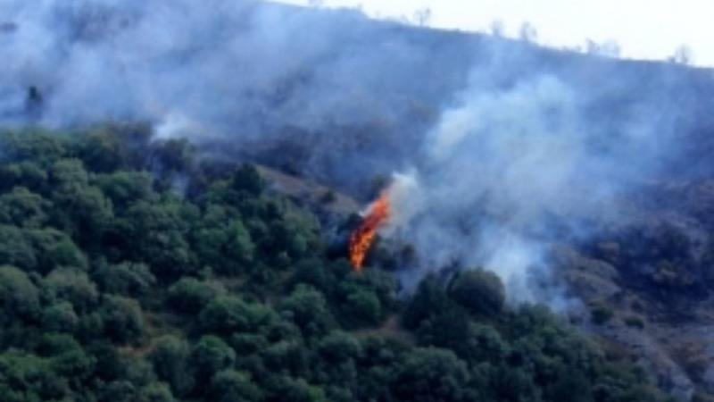 «Դիլիջանի ազգային պարկի» տարածքում խոտածածկույթ է այրվել