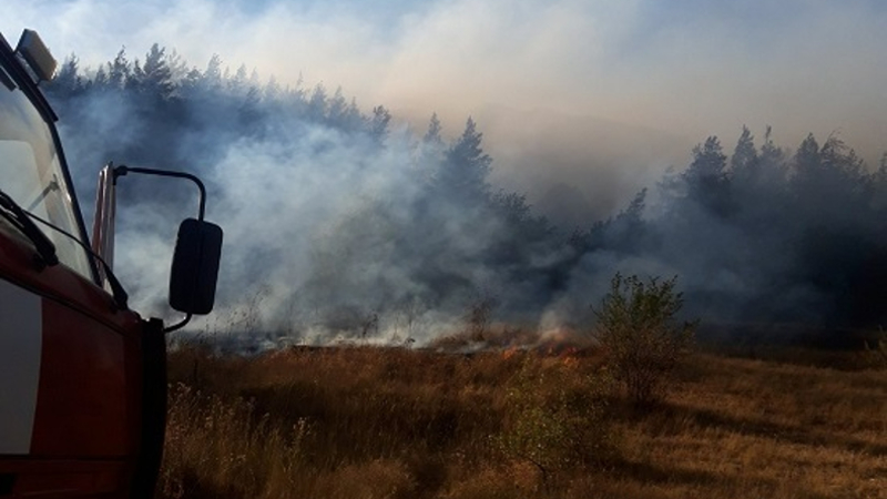Ջերմուկի չդիտարկվող տարածքներում բռնկված անտառային հրդեհները մարվել են