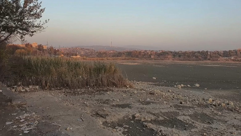 Երևանյան լճից 8 հա-ից ավելի եղեգ է հանվել