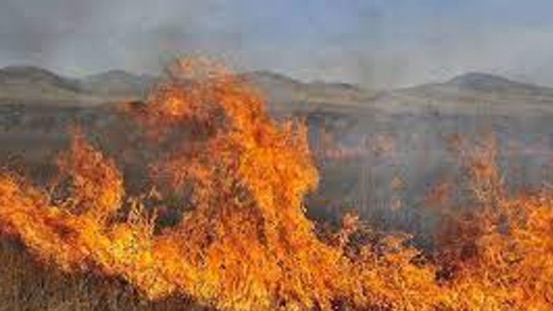 Սուրենավան գյուղի մոտակայքում այրվել է  մոտ 15 հա եղեգնուտ