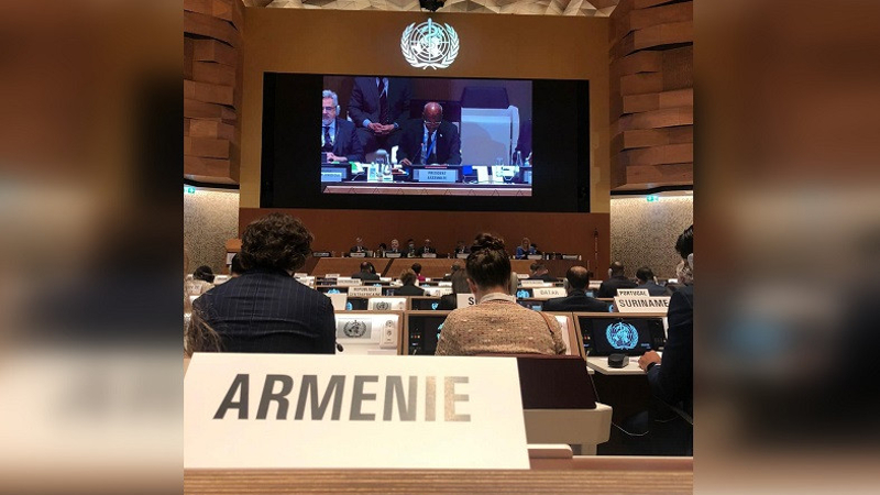 Հայաստանն առաջին անգամ նշանակվել է ԱՀԿ գլխավոր կոմիտեի անդամ (լուսանկարներ)