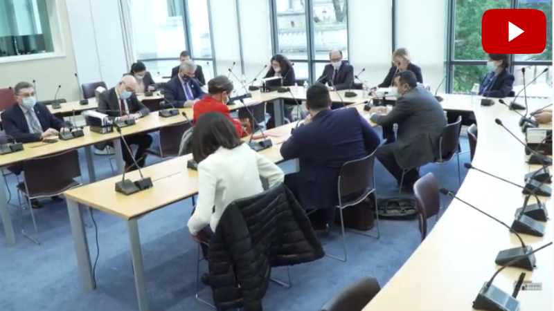 ՀՀ ԱԳ նախարար Արա Այվազյանը հանդիպում է ունեցել Ֆրանսիայի Ազգային ժողովում (տեսանյութ)