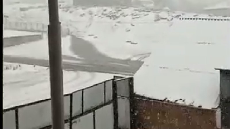 Լոռու մարզի Մարգահովիտ գյուղում տեղում է առատ ձյուն․ Գագիկ Սուրենյան (տեսանյութ)
