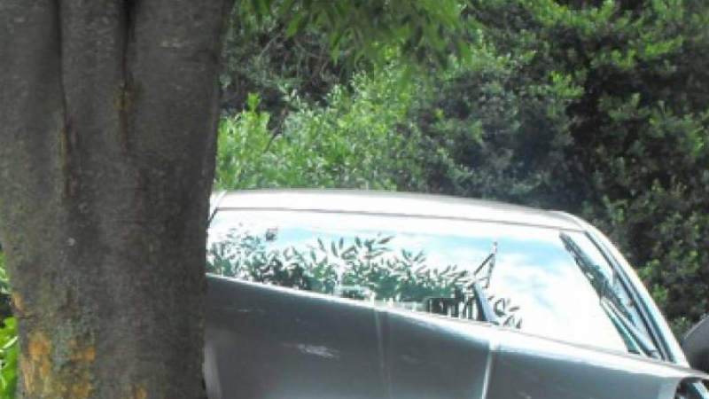 Մեքենան բախվել է ծառին. վարորդի կյանքը փրկել չի հաջողվել
