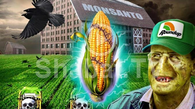 Գյուղնախարարությունն ուսումնասիրում է Monsanto ընկերության գործունեությունը. նախարար